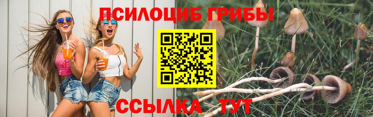 Кондопога  Галлюциногенные грибы Magic Shrooms  Вход с VPN 